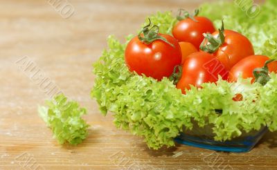Fresh salad with tomatoes