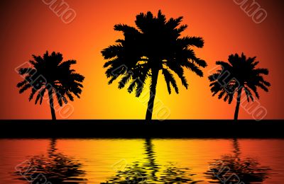 Sunset trees