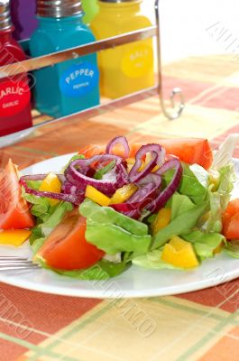 Fresh salad with tomatoes