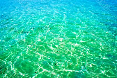 green sea