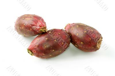 Three Cactus Pears