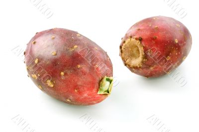 Two Cactus Pears