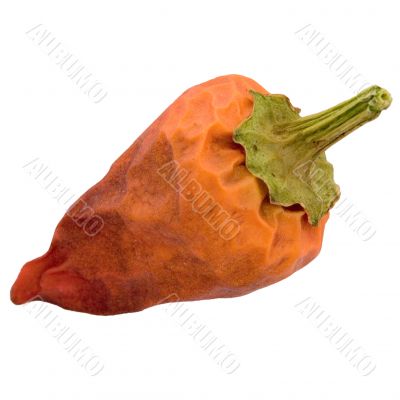 Red pepper on a white
