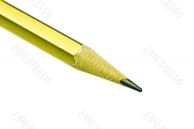 Golden pencil