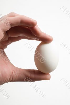White Egg
