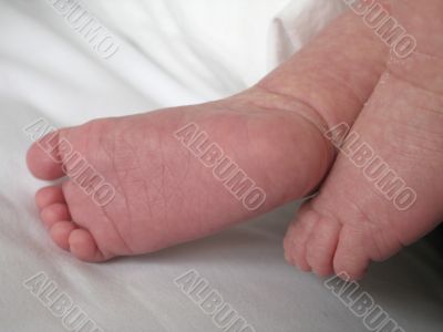 small pink baby feet