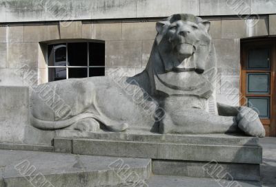 sculpted lion