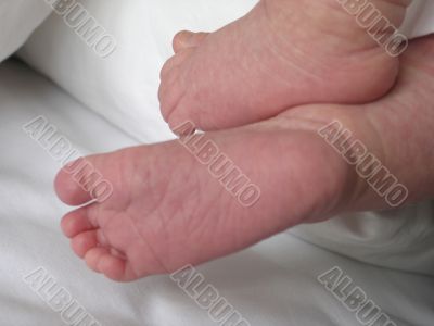 small pink baby feet