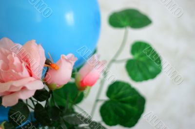 decorative rose