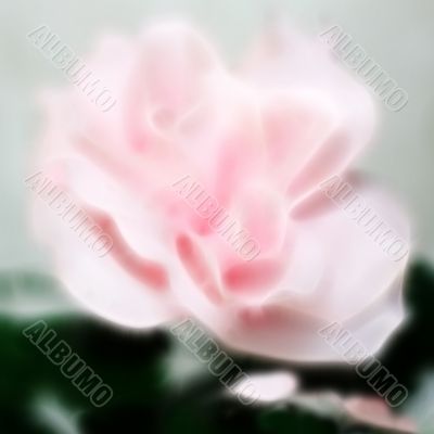 decorative rose