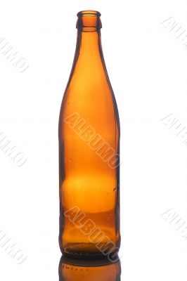 Empty beer bottle