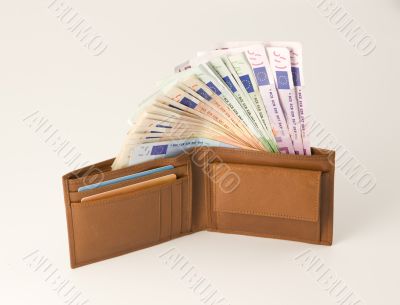 Leather wallet with money on white background