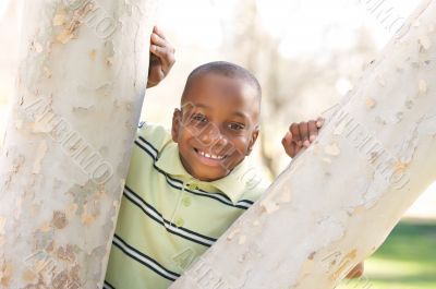 Young Boy