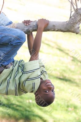 Young Boy