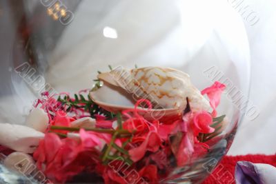 The sea Shell  in the glass ball.