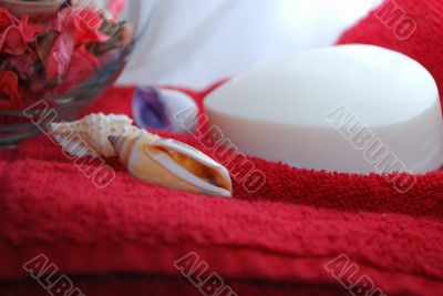 Towel, soap and shells.