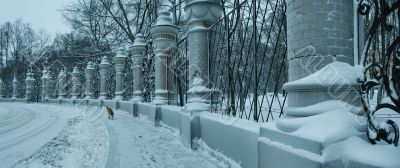 Panoramic view of a hoarfrost fence