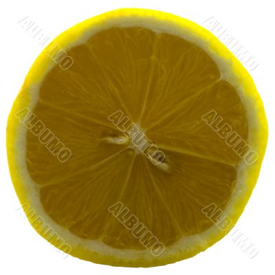 Lemon isolated on white close-up