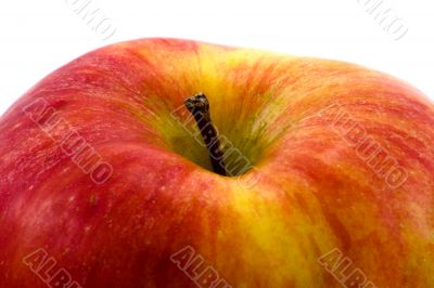 Apple close-up