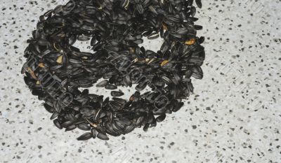 Sunflower seeds