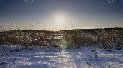 Snow-covered field