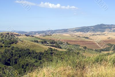 Landscape near Volterra (Tuscany)