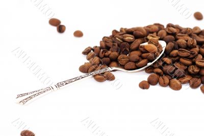 Coffee in grains a silver spoon