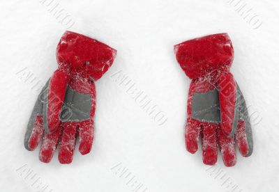 Gloves