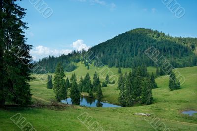 Landscape