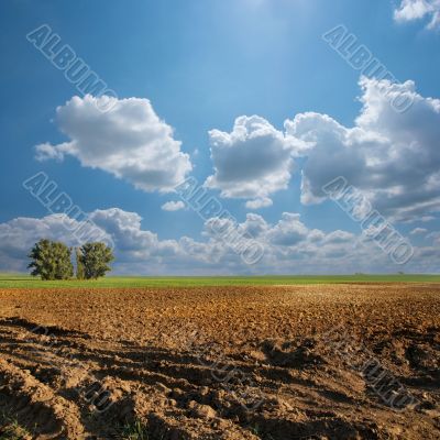 Field