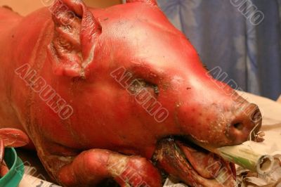 roast pig`s head