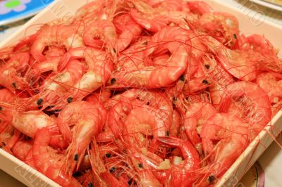 shrimps