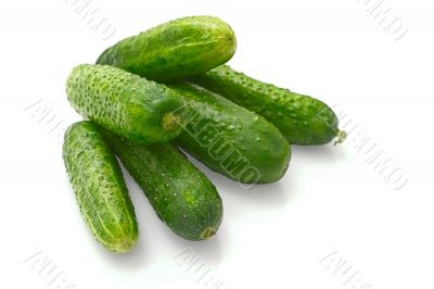 Cucmbers