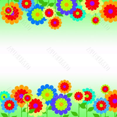 Border with spring flowers
