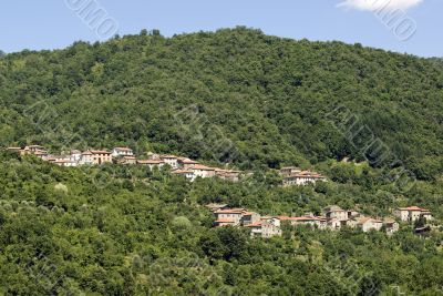 Passo del Cirone (Tuscany - Emilia) - Forest and villages