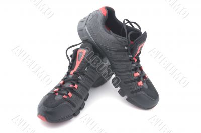 running shoes on white