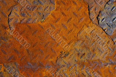Rusty rivets texture background