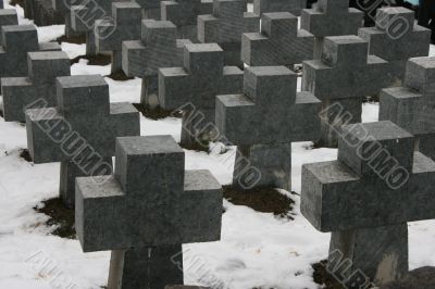 Ordered stone crosses in ancient cemetery