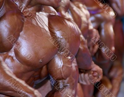 group of muscular male torsos