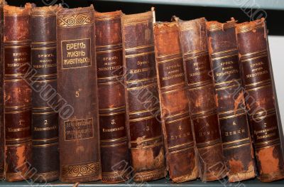 Row of old books cover spines