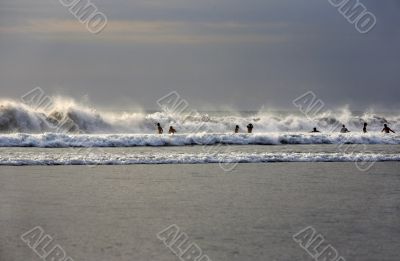 Indian ocean
