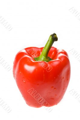 red bell pepper