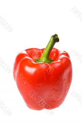 pepper
