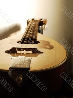 mandolin