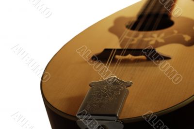 mandolin detail