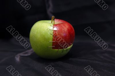 Green & red apple
