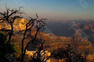 Landscape in Grand Canyon