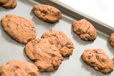 Homemade Chocolate Chip Cookies