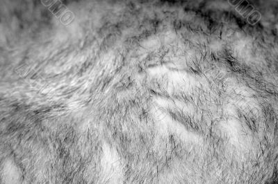 texture and pattern