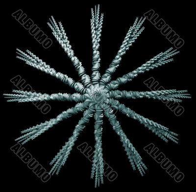cone star
